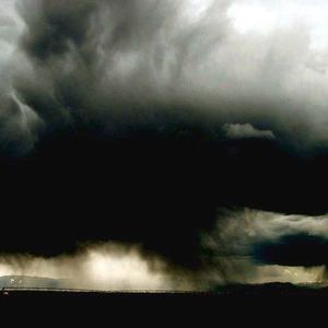 Meet your Posher, Pat